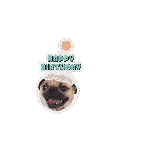 Happy Birthday Pug Sticker
