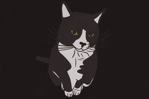 Black And White Cat GIF by ndf