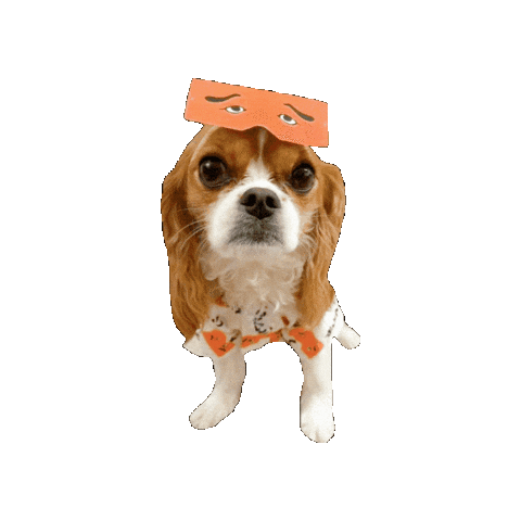 Cavalierkingcharlesspaniel Sticker