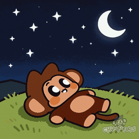 Good Night Sleeping GIF by Chimpers