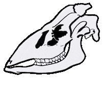 Skull Skeleton Sticker by Stylo