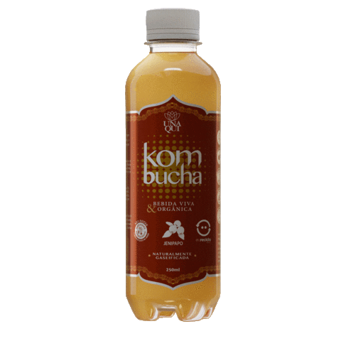 Saboresaude Sticker by Kombucha Unaqui