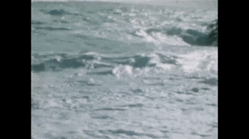 Ocean Waves GIF by Mallrat