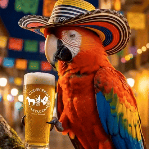 Colombia GIF by CERVECERIA CARTAGENA
