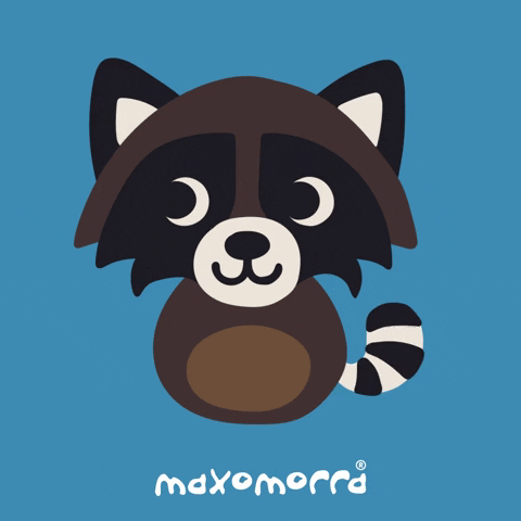 Raccoon GIF by Maxomorra