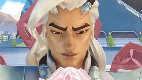 Overwatch Support GIF
