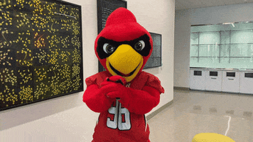 Excited Big Red GIF by Lamar University
