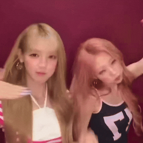 Stella GIF