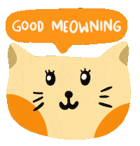 good morning cat gif