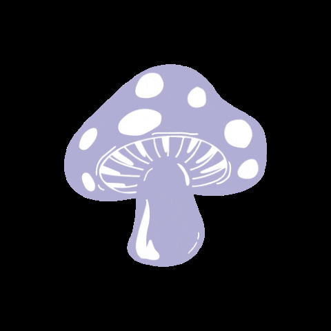 Illustration Mushroom GIF by Lazer Unicorn