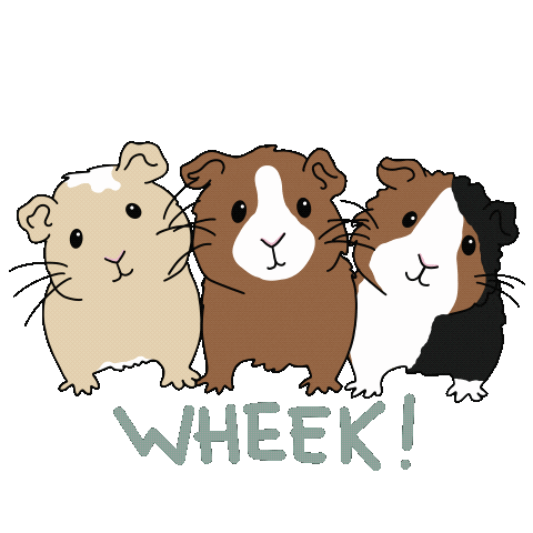 Pet Sticker