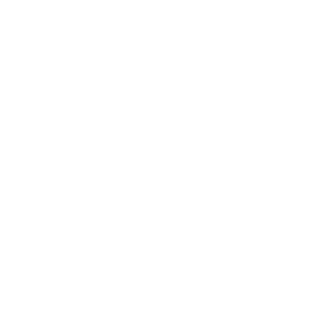 Rosa New York Sticker