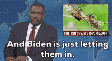 Snl GIF by Saturday Night Live