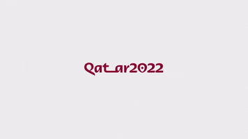 Qatar 2022 Football GIF