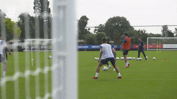Save Three Lions GIF by England