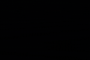 GIF by TKN