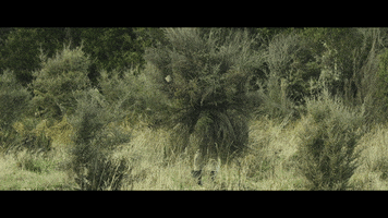 wilderpeople GIF by The Orchard Films