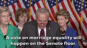 Marriage Equality GIF by GIPHY News
