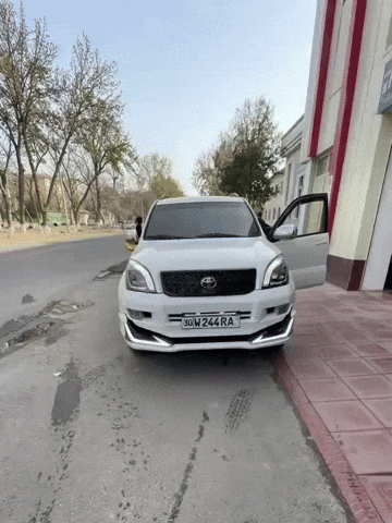 Uzb Muxa GIF