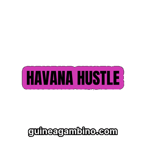 Channel Sticker by Guinea Gambino