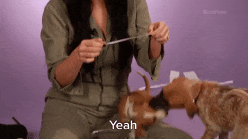 Kacey Musgraves Def GIF by BuzzFeed