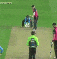 GIF