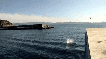 200.gif?cid=b1000409dwnhve7q5vmito81uug7