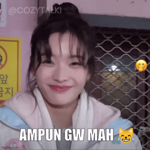 Kpop Meme GIF