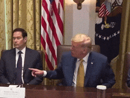 News GIF