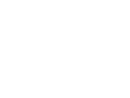 Logo Sticker