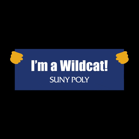 Wildcats Sunypoly GIF by SUNY Polytechnic Institute