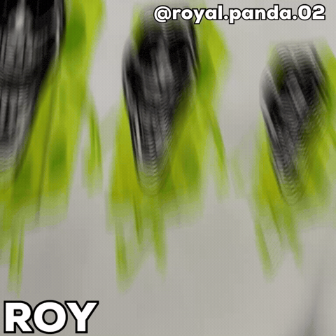 Spongebob Roy GIF
