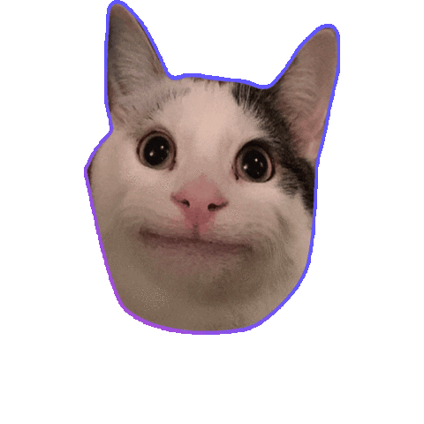 Cat Sticker