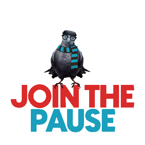 Pigeon Cybersecurity Sticker by Take9