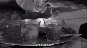 Mate GIF