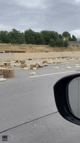 French Fries Crash GIF by Storyful