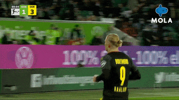 Happy Borussia Dortmund GIF by MolaTV