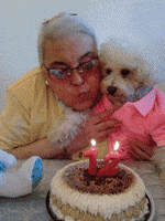 200.gif?cid=fc005b08771e9fcbae5535d848eaef9cdba4bd8110f39a14&rid=200.gif&ct=g