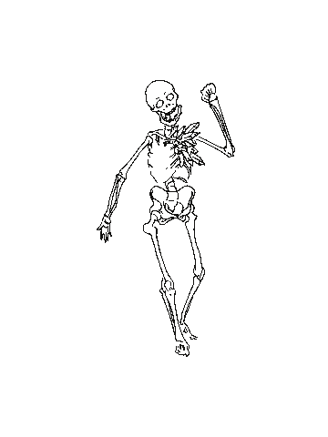 Crystal Bones Sticker