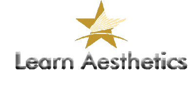 Learn Aesthetics Sticker