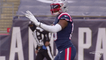 Hold Up Reaction GIF by New England Patriots