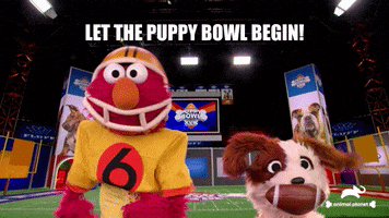 Dogs Love GIF by Puppy Bowl