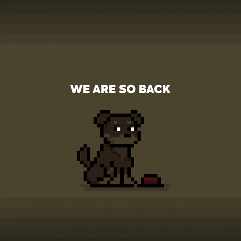 Lets Go Wow GIF by Doginal Dogs