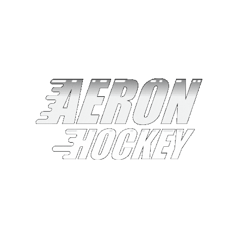 Aeron Hockey Sticker