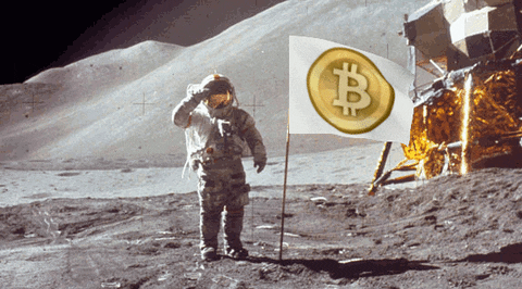  bitcoin the moon GIF