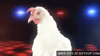 cock-o-milk meme gif