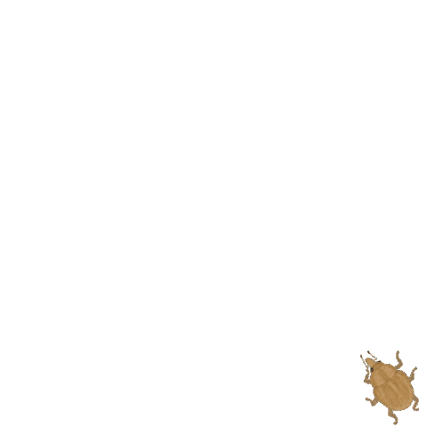 UF/IFAS Center for Aquatic and Invasive Plants Sticker