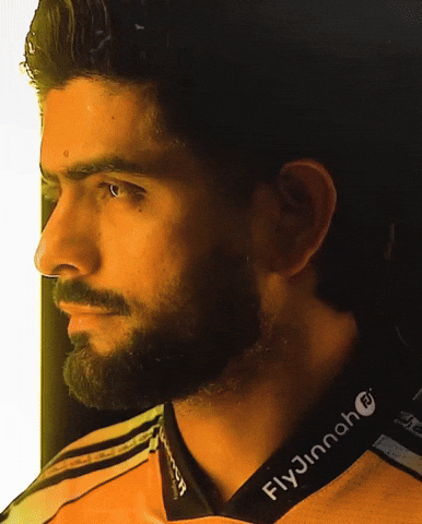 Peshawar Zalmi King GIF