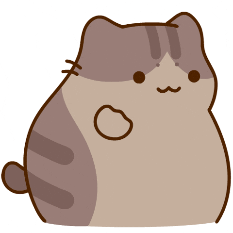 Catmemes GIF by Bichi Mao