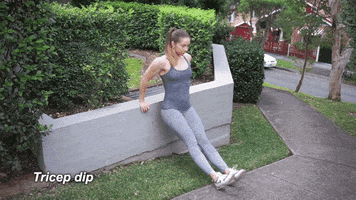 bec8888  GIF